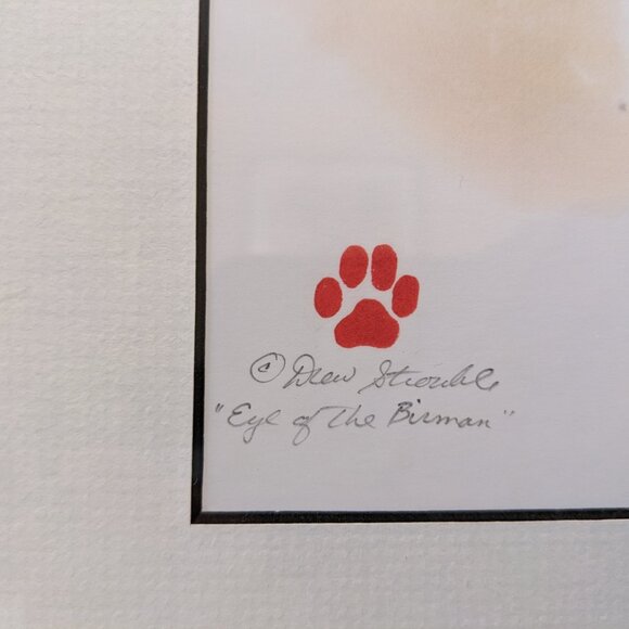 Gorgeous Framed Birman Cat Art Print - "Eye of the Birman" Watercolor Signed - Picture 4 of 6